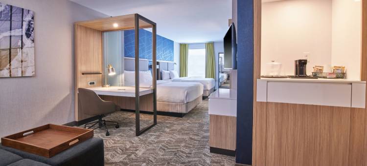 底特律迪尔伯恩SpringHill Suites酒店(SpringHill Suites Detroit Dearborn)图片