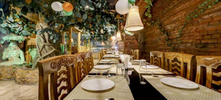 特雷布梦幻岛旅馆(Treebo Dreamland Guest House)图片