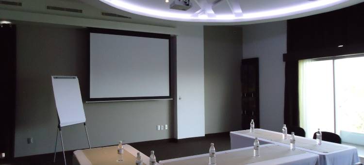瑞尔阿拉米达日奎雷塔罗酒店(Hotel Real Alameda de Queretaro)图片