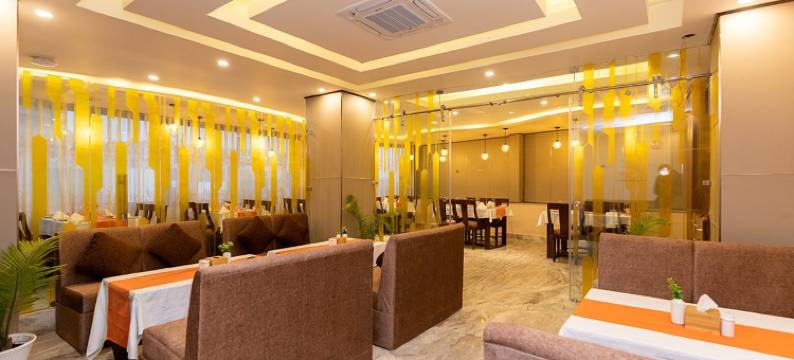 埃佩克斯商务酒店(Apex Business Hotel - Tribhuvan International Airport, Kathmandu)图片