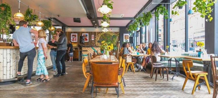 瓜达拉哈拉赛琳娜酒店(Hotel Olá Chapultepec)图片