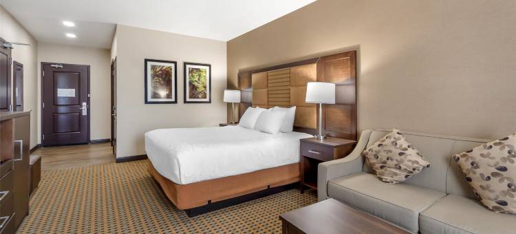 贝斯特韦斯特优质欣顿优质套房酒店(Best Western Plus Hinton Inn  Suites)图片