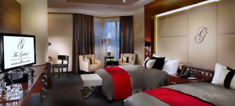 加布里埃尔酒店(Sun City Hotel - the Gabriel)图片