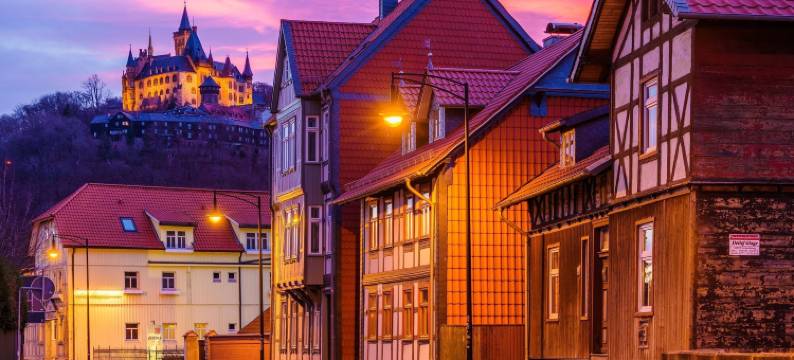 斯克洛斯帕拉斯精品酒店(Boutiquehotel Schloßpalais)图片