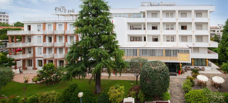 特尔姆维纳多罗酒店(Hotel Terme Vena d'Oro)图片