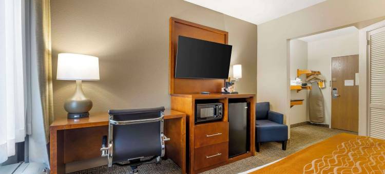 舒适酒店-斯普林菲尔德南(Comfort Inn South - Springfield)图片