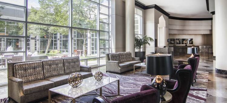 达拉斯北万丽酒店(Renaissance Dallas North Hotel)图片