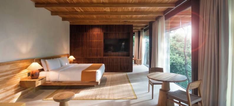 特玛尔河里奥佩迪多酒店(Rio Perdido Hotel & Thermal River)图片