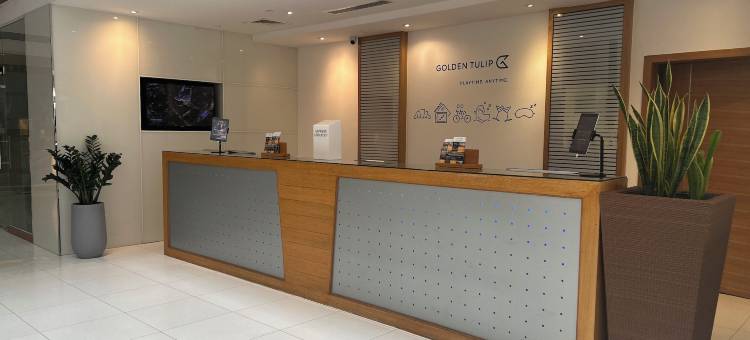 黄金郁金香马斯喀特(Golden Tulip Muscat)图片