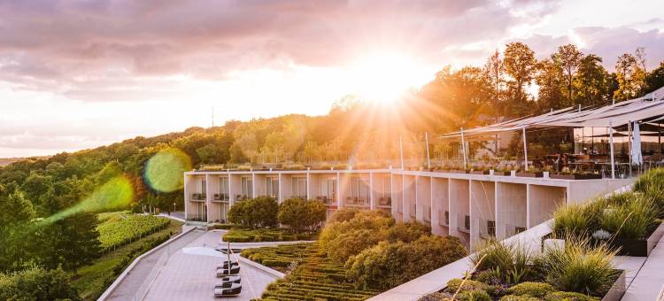 皇家香槟 Spa 酒店(Royal Champagne Hotel & Spa)图片