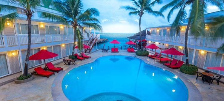 海豚全包式酒店(Decameron Los Delfines - All Inclusive)图片