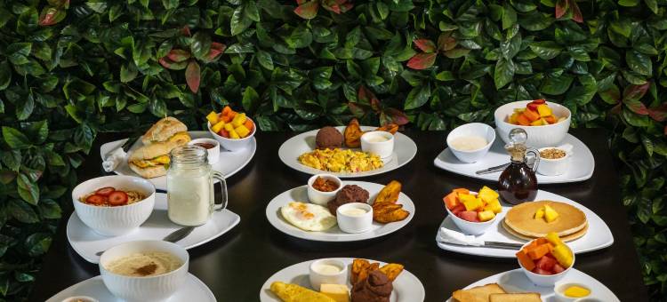 贝拉之家精品酒店(Terra Bella Hotel Boutique)图片