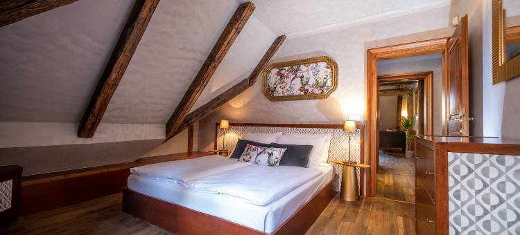 苏菲小姐查理大桥酒店(Miss Sophie's Charles Bridge)图片