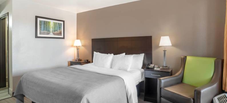 品质酒店辛普森维尔-格林维尔(Quality Inn Simpsonville-Greenville)图片