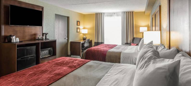舒适套房酒店-诺克斯维尔西(Comfort Inn & Suites Knoxville West)图片