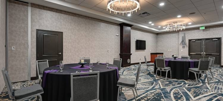 丹佛国际机场希尔顿逸林酒店(DoubleTree by Hilton Denver International Airport)图片