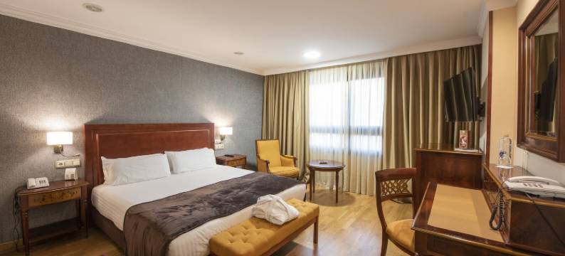 欧洲之星阿拉瓜尼住宿(Eurostars Araguaney)图片