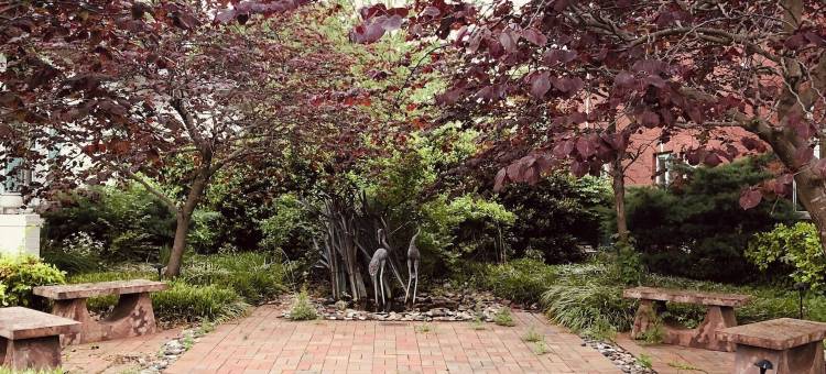 休憩民宿(The Respite Bed and Breakfast)图片