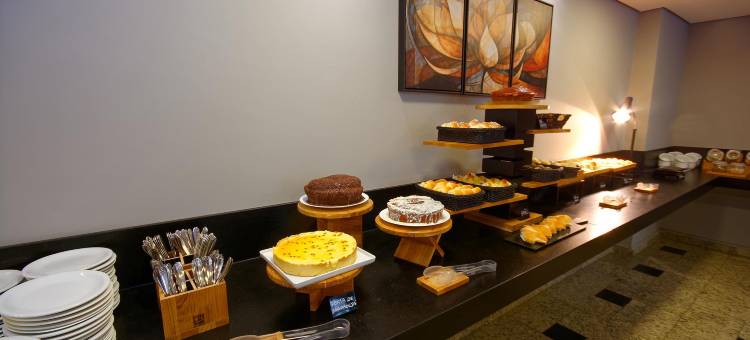 菲尼斯梅玛酒店(Fênix Hotel Moema)图片