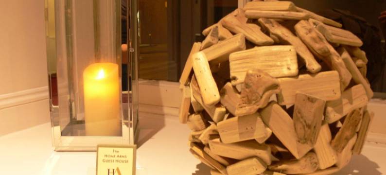 家庭阿尔姆斯旅馆(The Home Arms Guesthouse)图片