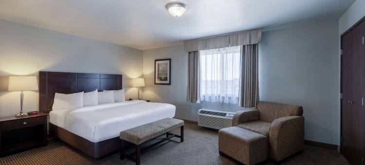 拉皮德城温德姆呗盟酒店(Baymont by Wyndham Rapid City)图片