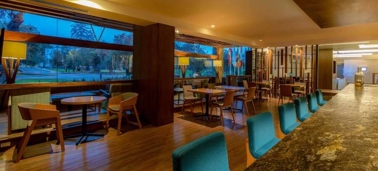 爱尔欧里瓦索尼斯塔酒店(Sonesta Hotel El Olivar Lima)图片