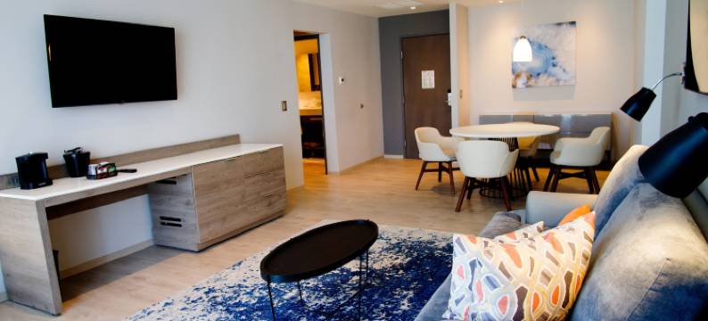 墨西哥城圣达菲希尔顿花园酒店(Hilton Garden Inn Mexico City Santa Fe)图片