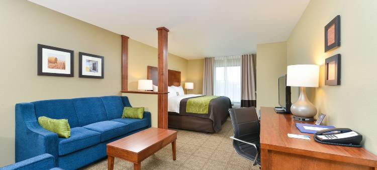 阿维拉西南舒适套房酒店(Comfort Inn & Suites Avera Southwest)图片