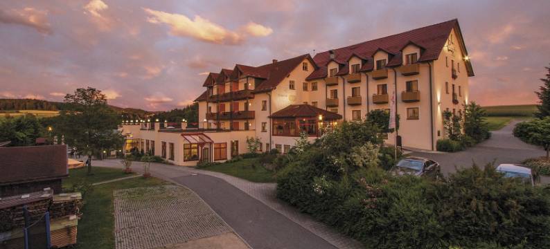 湖滨全景酒店(Panorama-Hotel am See)图片