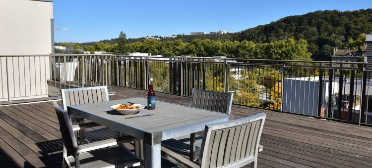 阿多尼斯里昂码头西公寓酒店(Adonis Lyon Dock Ouest)图片