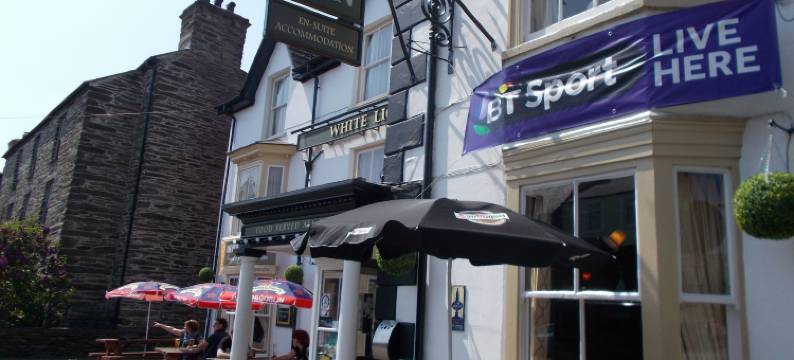 白狮酒店(The White Lion Hotel)图片