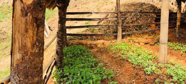 马哈巴哈拉特山家庭旅馆(Mount Mahabharat Homestay)图片