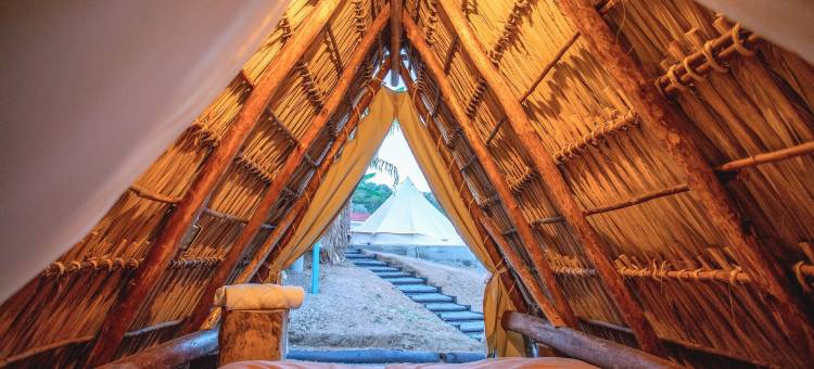 Socialtel 马德拉斯(Socialtel Maderas - Formerly Selina Maderas)图片