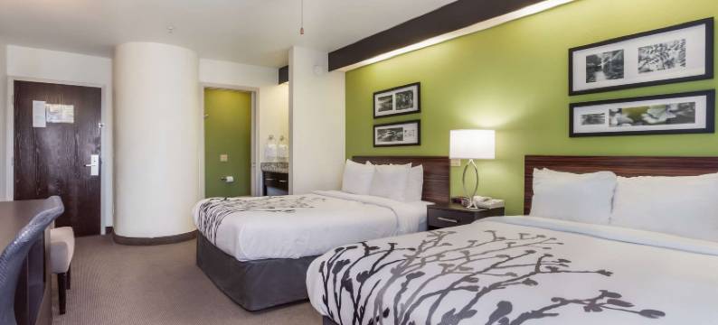 利特尔里弗 - 北默特尔比奇舒眠酒店(Sleep Inn Little River - North Myrtle Beach)图片