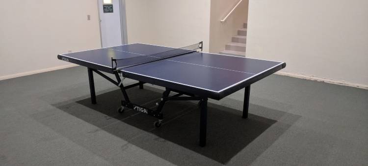 棕榈泉沙漠岛(Desert Isle of Palm Springs)图片