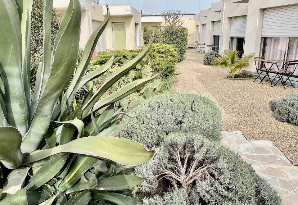 Hotel Amerique Hotel Overview