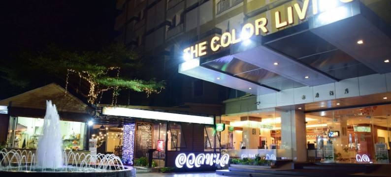 色彩生活酒店(The Color Living Hotel)图片