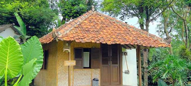 Kampung Halaman Villas图片