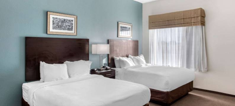 MainStay 套房 大斯普林北 I-20(MainStay Suites Big Spring North I-20)图片