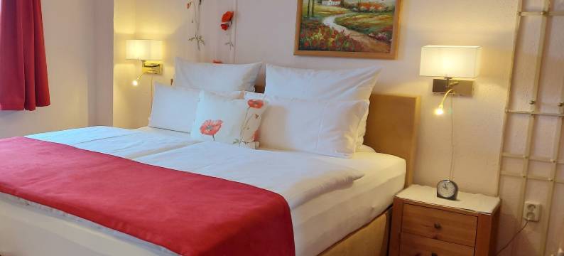 奥伯格古索夫酒店(Logis L Auberge Gutshof)图片