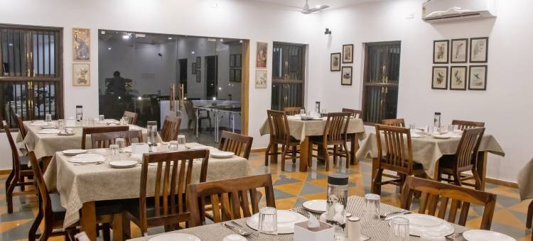 塔多巴虎爪(The Tiger Claws Tadoba)图片