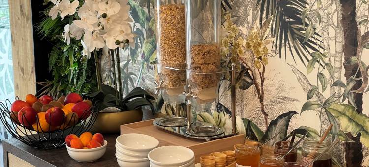 城市风格酒店 戛纳 穆昂萨尔图(Urban Style Cannes Mouans-Sartoux)图片