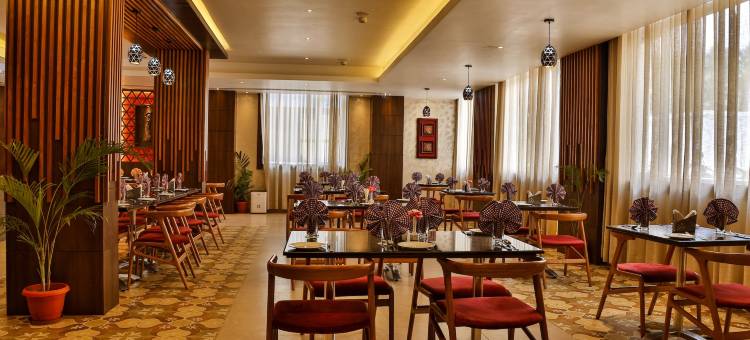 尼拉德里高级酒店(Hotel Niladri Premium)图片