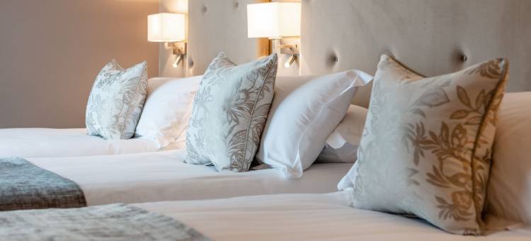 布特斯敦格里森联排别墅(Gleesons Townhouse Booterstown)图片
