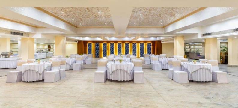 Golden Tulip Udaipur图片