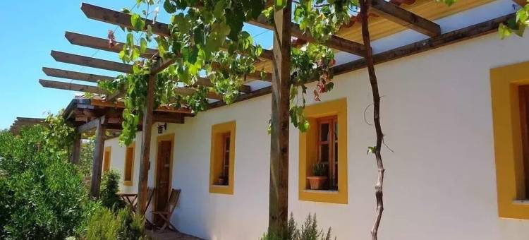 乡村庄园 Vale do Asno(阿斯诺河谷)(Casa de Campo Vale do Asno)图片