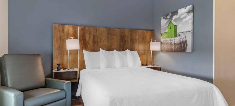 圣安东尼奥-长住美国尊享套房-诺斯(Extended Stay America Premier Suites - San Antonio - North)图片