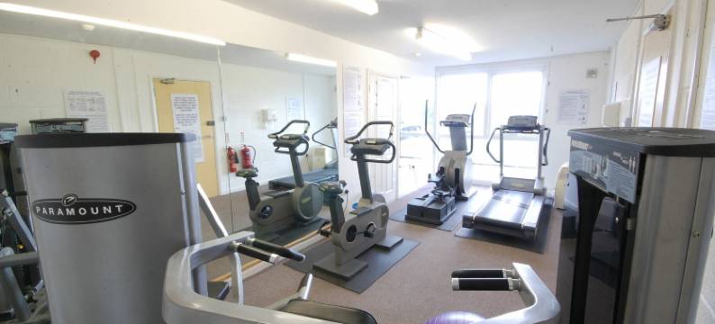 布莱思维的藏红花(Saffron, Blythview)图片