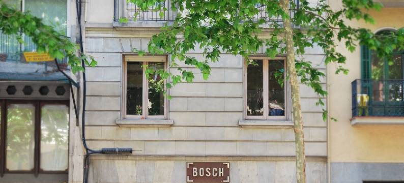 鸟屋旅馆(Bird House)图片