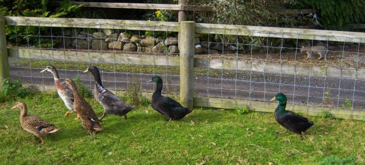 谷地旅馆(Valley Lodge Room Only Guest House)图片